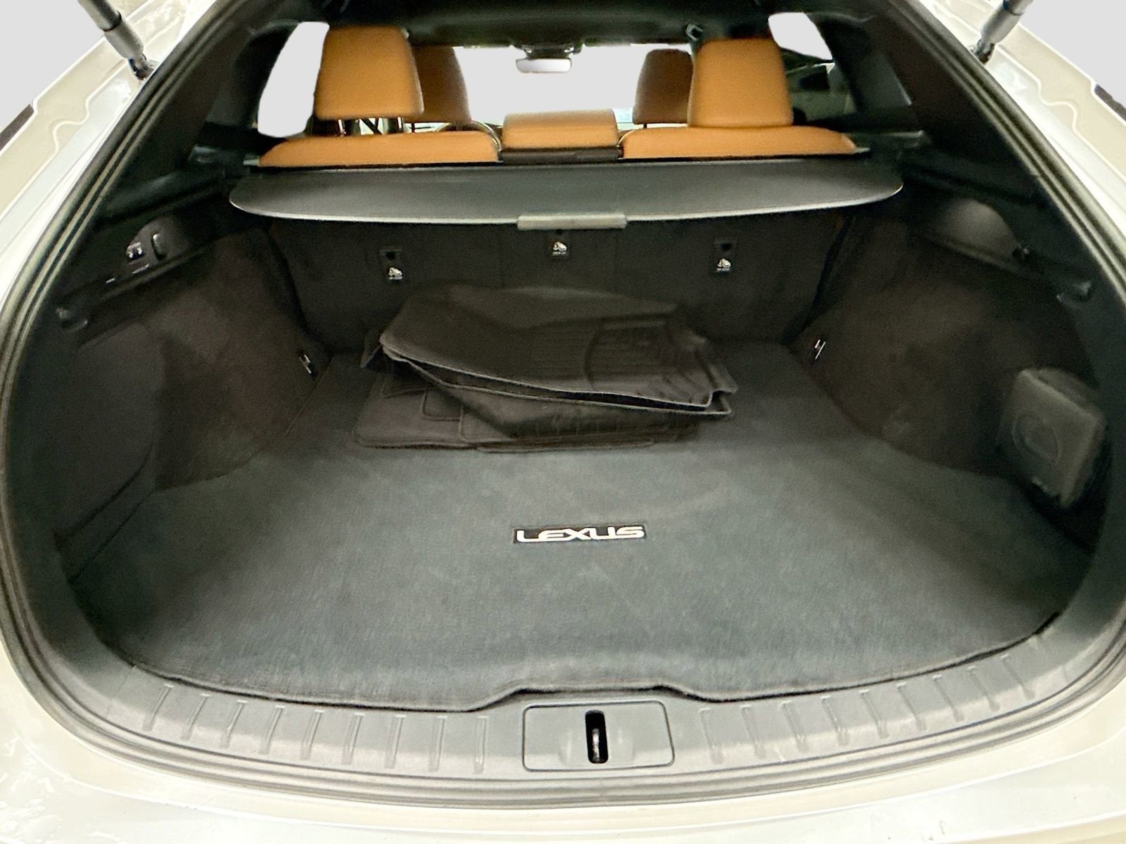 2023 Lexus RX 350h Premium