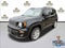 2020 Jeep Renegade Sport 4x4
