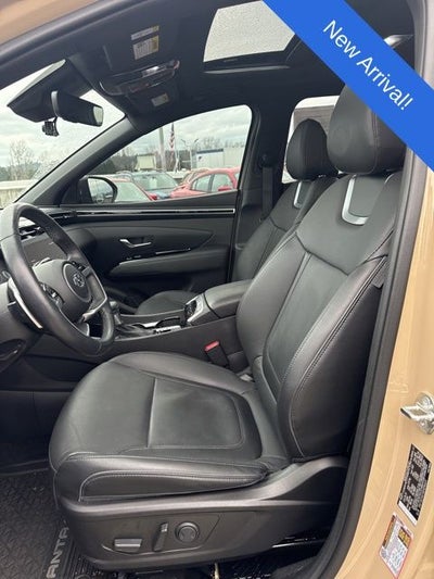 2024 Hyundai Santa Cruz Limited